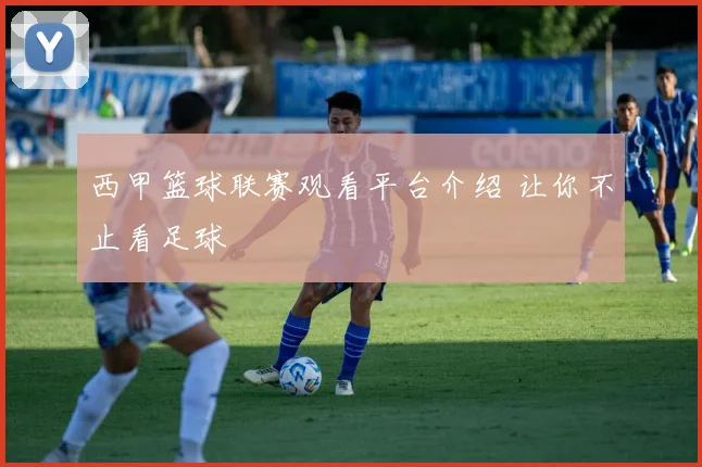 西甲篮球联赛观看平台介绍 让你不止看足球