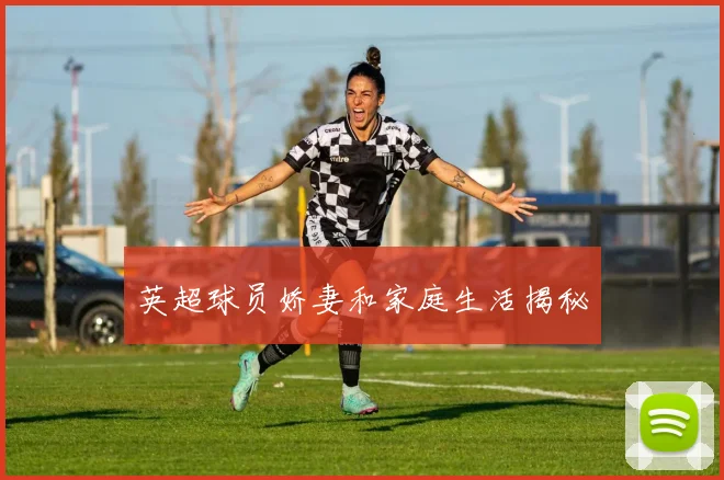 英超球员娇妻和家庭生活揭秘