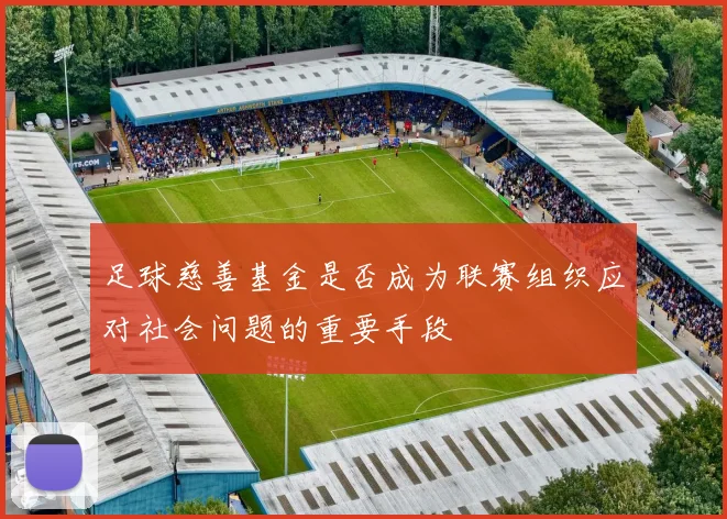 足球慈善基金是否成为联赛组织应对社会问题的重要手段